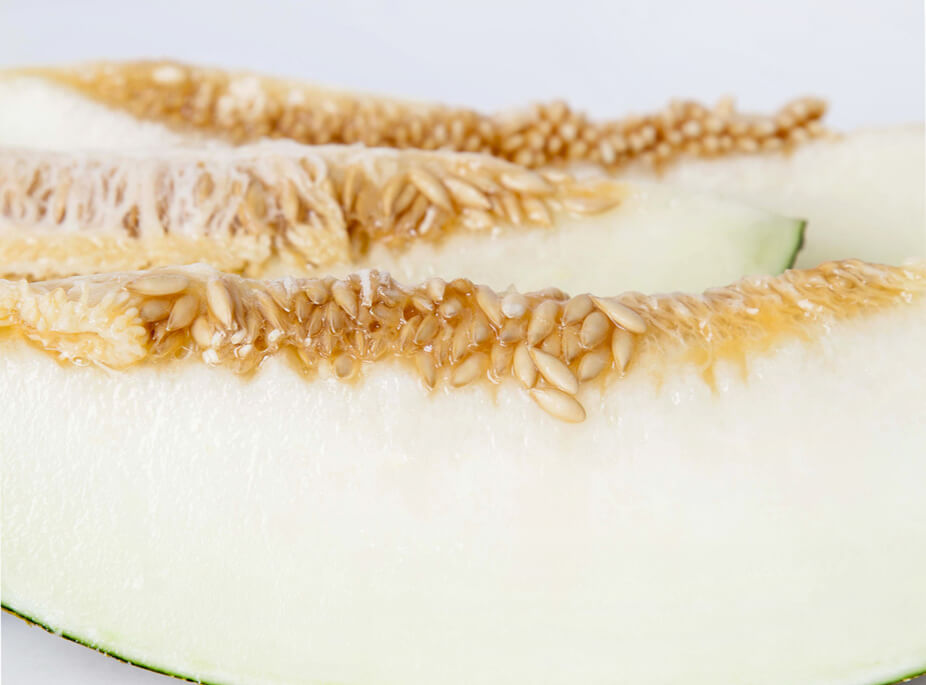 A MR. MELON