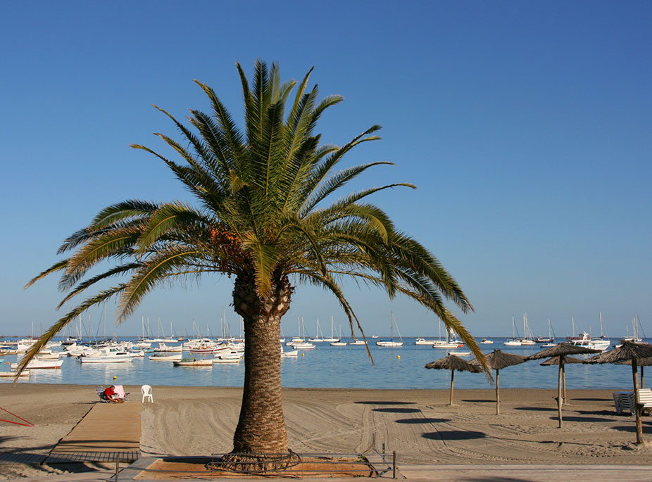 SAN JAVIER