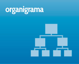 ORGANIGRAMA
