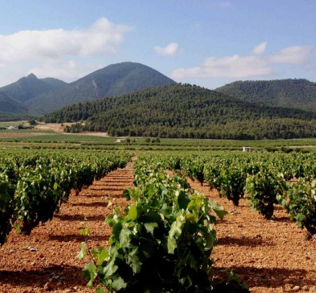 Discovering Jumilla Route