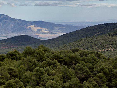 Cets Sierra Espu�a