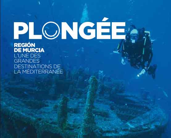 Plong�e
